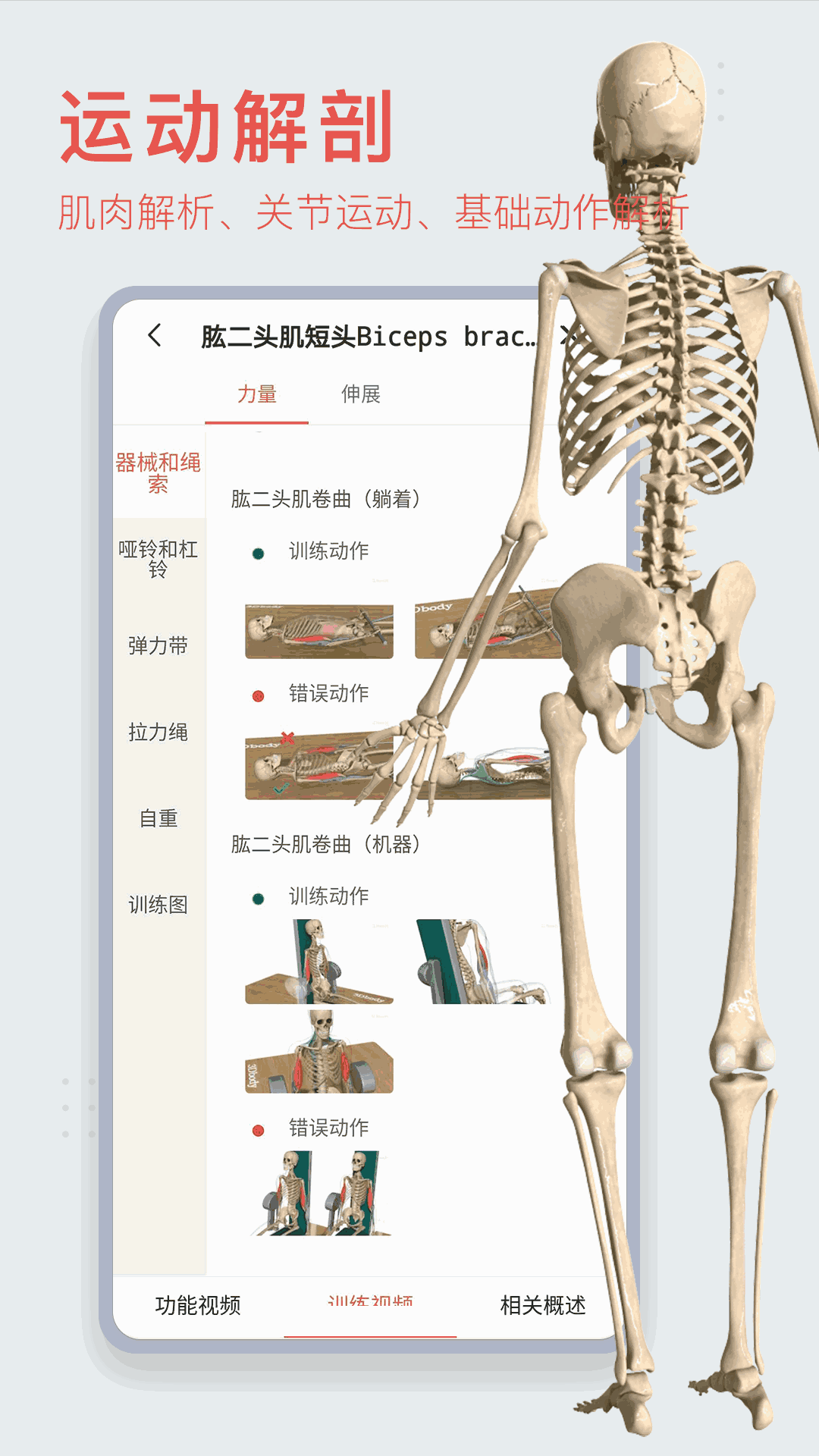 3DBody解剖