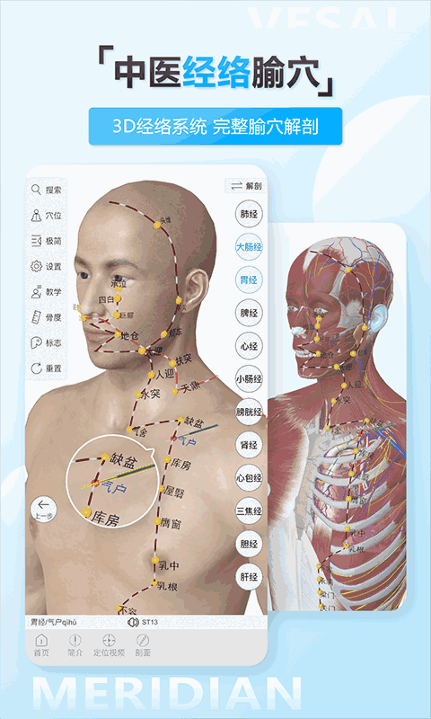 维萨里3D解剖教学