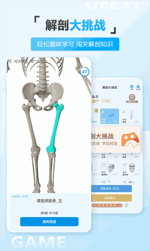 维萨里3D解剖教学