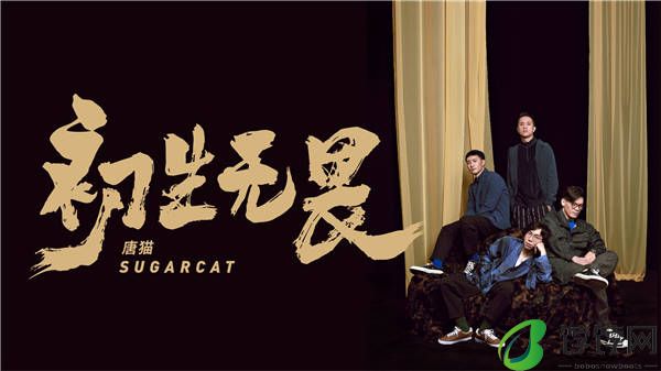 叮！收好这份来自唐猫SUGARCAT的“初生无畏”攻略