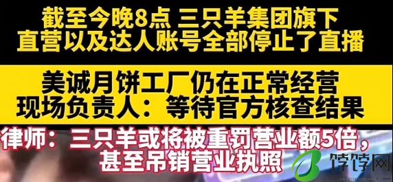 月饼引发“大祸”：三只羊旗下账号已全部停播小杨哥掉粉超200万