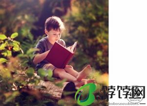 51岁的林有慧回应生小孩：理性看待人生新阶段